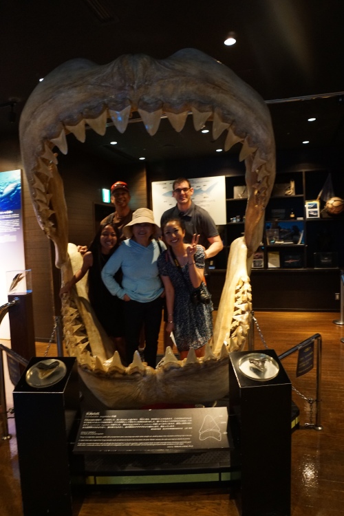 Family Picture! This was the shark/ray information section. I got to rest a little bit and watch a video about one of the Manta Rays giving birth to a baby. It was very cool to watch even though I couldn't understand the narration.